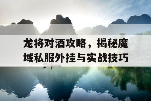 龙将对酒攻略，揭秘魔域私服外挂与实战技巧