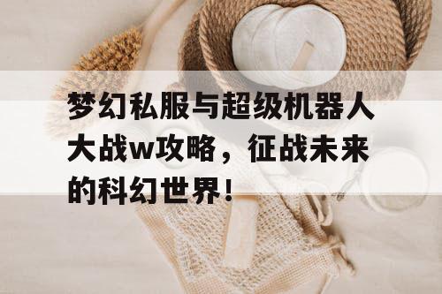 梦幻私服与超级机器人大战w攻略，征战未来的科幻世界！