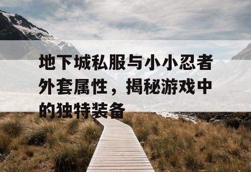 地下城私服与小小忍者外套属性，揭秘游戏中的独特装备