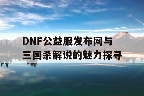 DNF公益服发布网与三国杀解说的魅力探寻