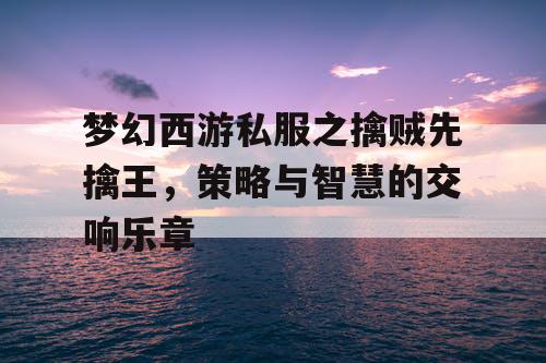梦幻西游私服之擒贼先擒王，策略与智慧的交响乐章