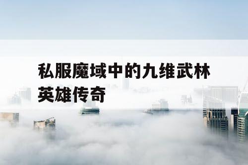 私服魔域中的九维武林英雄传奇