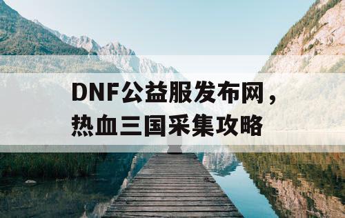 DNF公益服发布网，热血三国采集攻略