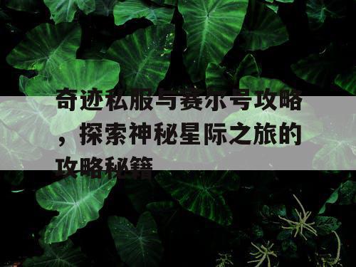 奇迹私服与赛尔号攻略，探索神秘星际之旅的攻略秘籍