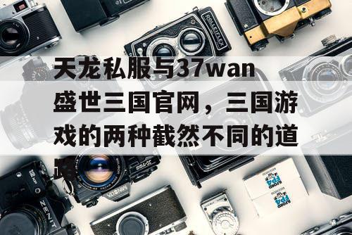天龙私服与37wan盛世三国官网，三国游戏的两种截然不同的道路