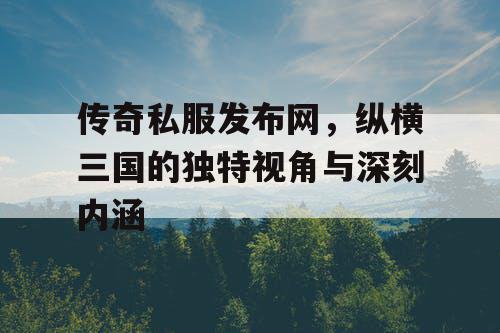 传奇私服发布网，纵横三国的独特视角与深刻内涵