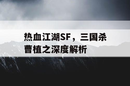 热血江湖SF，三国杀曹植之深度解析