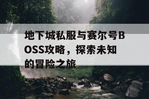 地下城私服与赛尔号BOSS攻略，探索未知的冒险之旅