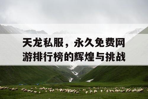 天龙私服，永久免费网游排行榜的辉煌与挑战