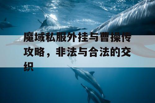 魔域私服外挂与曹操传攻略，非法与合法的交织
