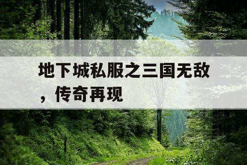 地下城私服之三国无敌，传奇再现