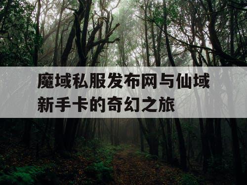 魔域私服发布网与仙域新手卡的奇幻之旅