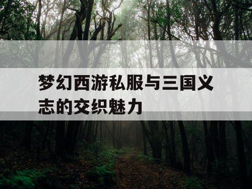 梦幻西游私服与三国义志的交织魅力