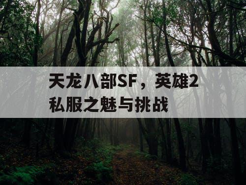 天龙八部SF，英雄2私服之魅与挑战