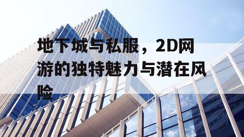 地下城与私服，2D网游的独特魅力与潜在风险
