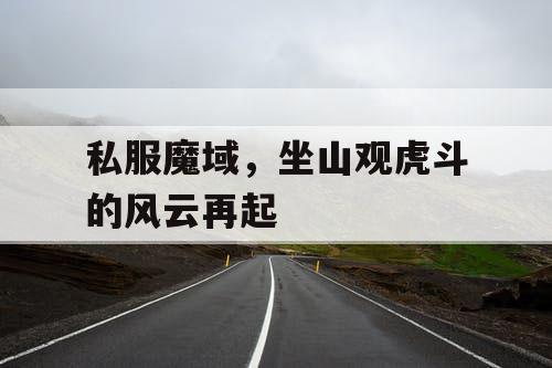 私服魔域，坐山观虎斗的风云再起