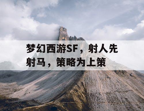 梦幻西游SF，射人先射马，策略为上策