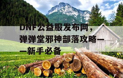 DNF公益服发布网，弹弹堂邪神部落攻略——新手必备