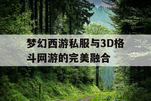 梦幻西游私服与3D格斗网游的完美融合