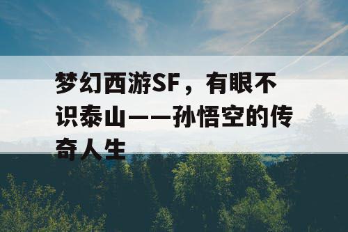 梦幻西游SF，有眼不识泰山——孙悟空的传奇人生