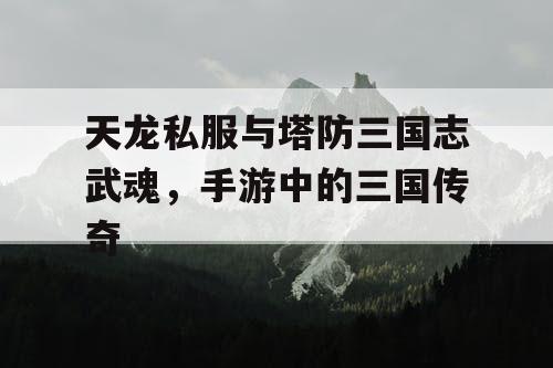 天龙私服与塔防三国志武魂，手游中的三国传奇