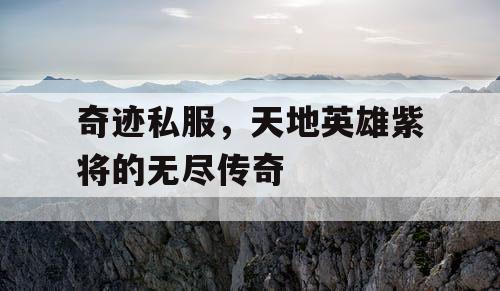 奇迹私服，天地英雄紫将的无尽传奇