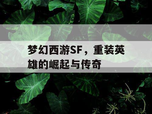 梦幻西游SF，重装英雄的崛起与传奇