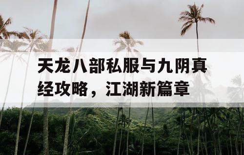 天龙八部私服与九阴真经攻略，江湖新篇章