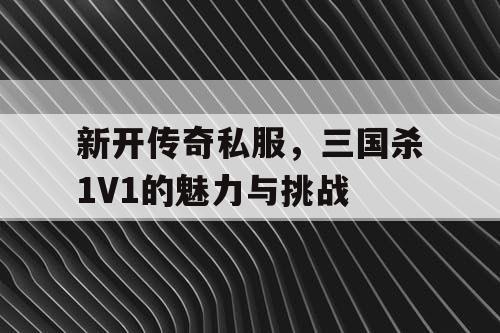 新开传奇私服，三国杀1V1的魅力与挑战