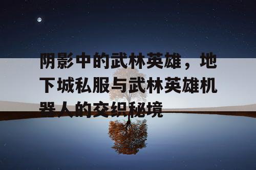 阴影中的武林英雄，地下城私服与武林英雄机器人的交织秘境