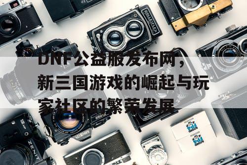 DNF公益服发布网，新三国游戏的崛起与玩家社区的繁荣发展