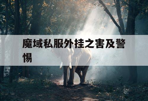 魔域私服外挂之害及警惕