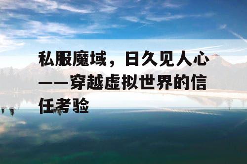 私服魔域，日久见人心——穿越虚拟世界的信任考验