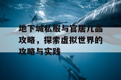 地下城私服与官居几品攻略，探索虚拟世界的攻略与实践