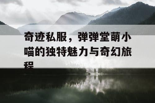 奇迹私服，弹弹堂萌小喵的独特魅力与奇幻旅程