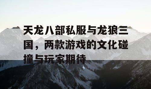 天龙八部私服与龙狼三国，两款游戏的文化碰撞与玩家期待