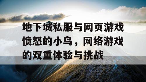 地下城私服与网页游戏愤怒的小鸟，网络游戏的双重体验与挑战