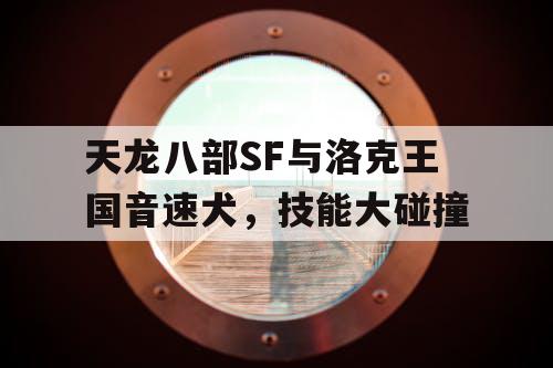 天龙八部SF与洛克王国音速犬，技能大碰撞