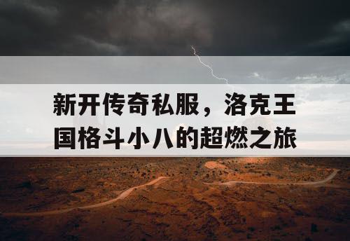 新开传奇私服，洛克王国格斗小八的超燃之旅