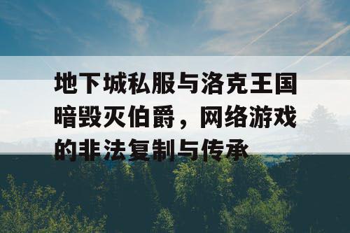 地下城私服与洛克王国暗毁灭伯爵，网络游戏的非法复制与传承