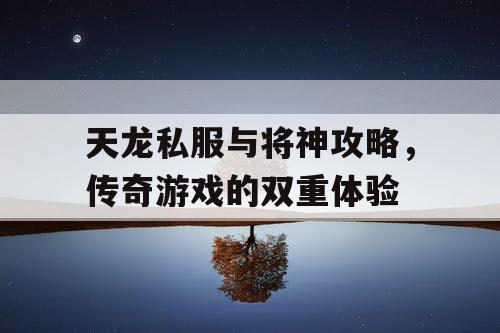 天龙私服与将神攻略，传奇游戏的双重体验