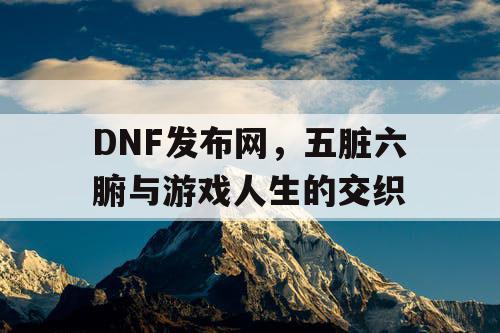 DNF发布网，五脏六腑与游戏人生的交织