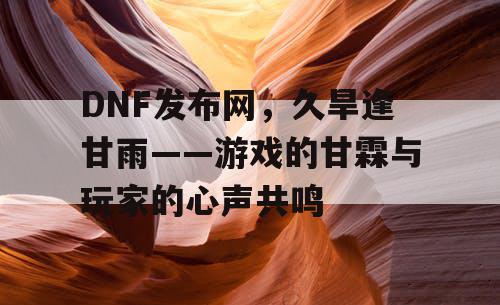 DNF发布网，久旱逢甘雨——游戏的甘霖与玩家的心声共鸣