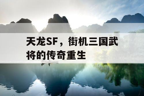 天龙SF，街机三国武将的传奇重生