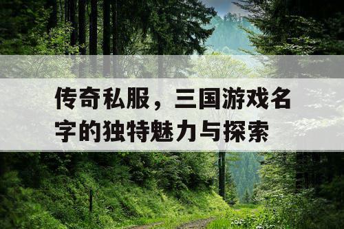 传奇私服，三国游戏名字的独特魅力与探索