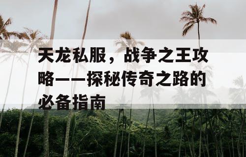 天龙私服，战争之王攻略——探秘传奇之路的必备指南