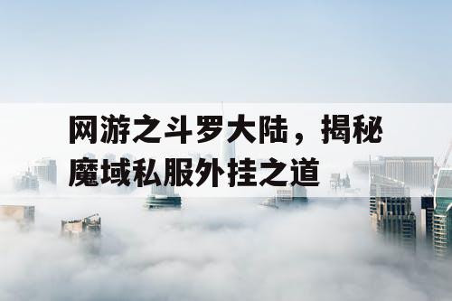 网游之斗罗大陆，揭秘魔域私服外挂之道