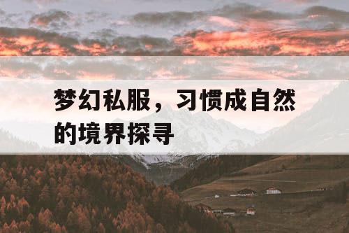 梦幻私服，习惯成自然的境界探寻