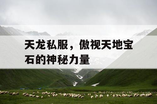 天龙私服，傲视天地宝石的神秘力量