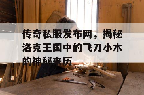 传奇私服发布网，揭秘洛克王国中的飞刀小木的神秘来历